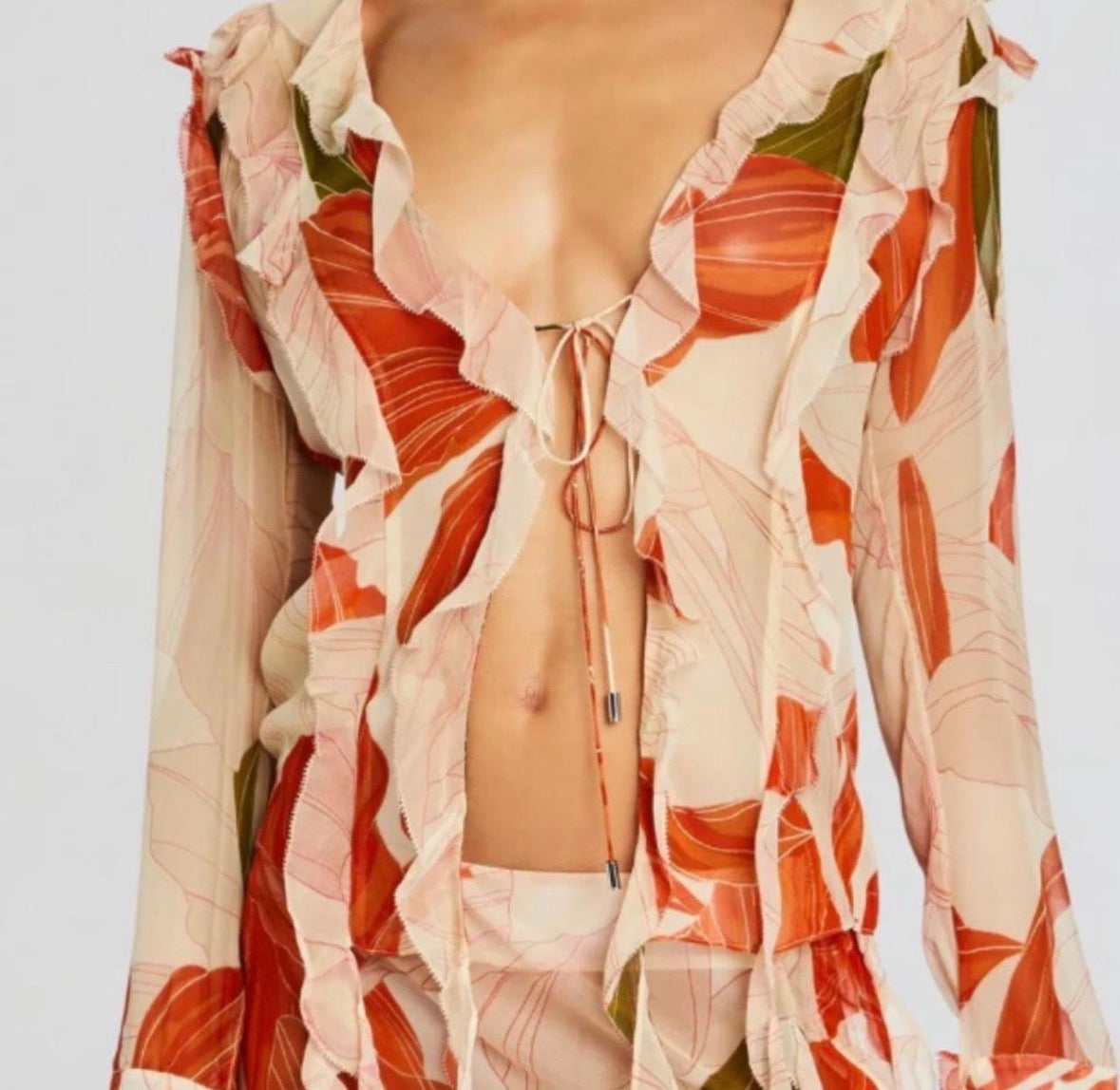 Retrofete Shea sheer silk chiffon top