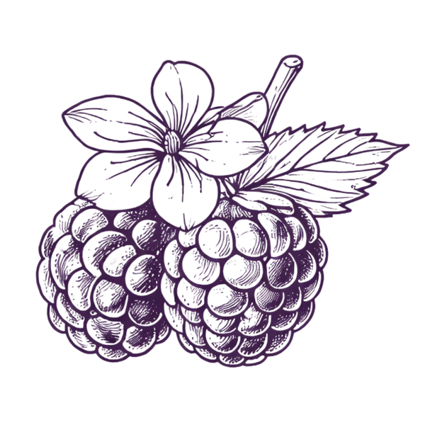 Blackberry Vintage